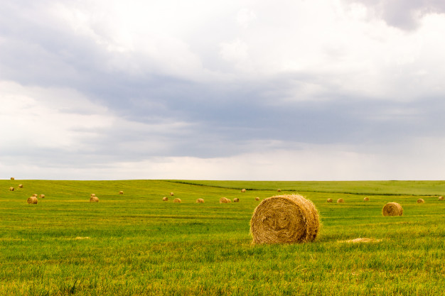 fond agriculture